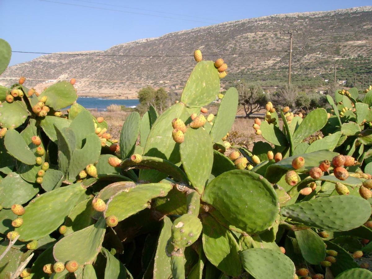 Papadiokampos Maissonete Roussa Limni Luaran gambar